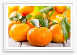 Tangy tangerines Framed Art Print 48374652