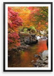 Autumn maple stream Framed Art Print 48422660