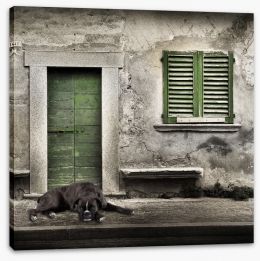 Boxer by the green door Stretched Canvas 48427069