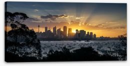 Spectacular sunset over Sydney city Stretched Canvas 48619078