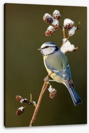 Birds Stretched Canvas 48996362