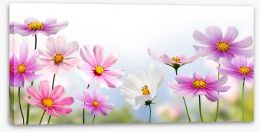 Pink flower panoramic Stretched Canvas 49007490
