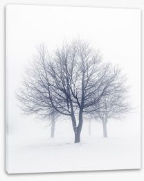 Winter Stretched Canvas 49034899