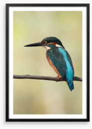 Majestic Kingfisher Framed Art Print 49106768