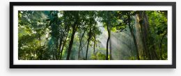 Forests Framed Art Print 491471254