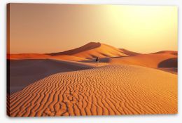 Desert Stretched Canvas 49229629