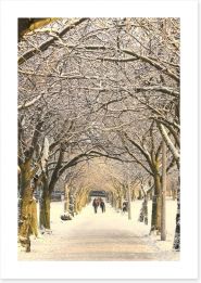 Winter pathway Art Print 49292793