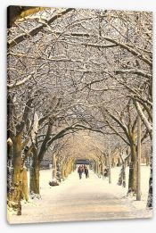 Winter pathway Stretched Canvas 49292793