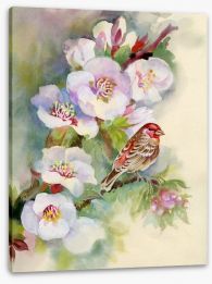 Apple blossom bird Stretched Canvas 49311694