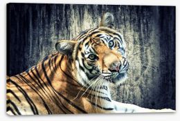 Bengal tiger Stretched Canvas 49749132