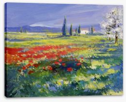 Poppy field Stretched Canvas 49784440