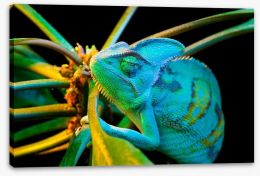 Reptiles / Amphibian Stretched Canvas 50023935