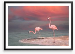 Pink flamingo sunset Framed Art Print 50065189