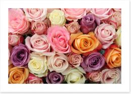 Mixed pastel roses Art Print 50228420