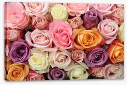 Mixed pastel roses Stretched Canvas 50228420