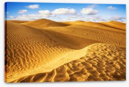 Desert Stretched Canvas 50307995