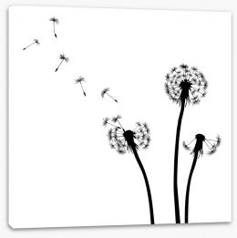 Dandelion wishes Stretched Canvas 50370844