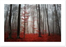Autumn fog in the forest Art Print 50430017
