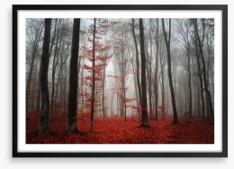 Autumn fog in the forest Framed Art Print 50430017