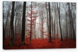 Autumn fog in the forest Stretched Canvas 50430017