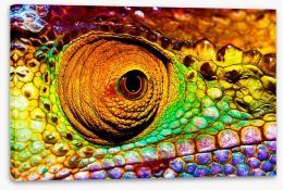 Reptiles / Amphibian Stretched Canvas 50502121
