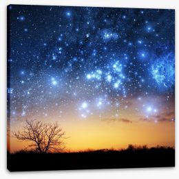 The night sky tree Stretched Canvas 51076597