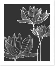 Lotus on black Art Print 51232089