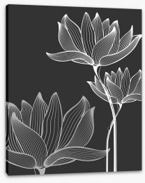 Lotus on black Stretched Canvas 51232089