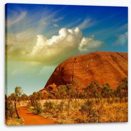 Colours of the outback Stretched Canvas 51314656