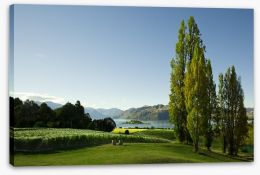 New Zealand Stretched Canvas 51325654