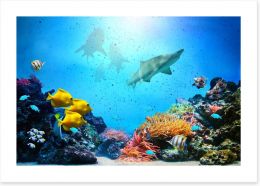 Underwater Art Print 51689895