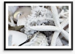 Starfish and coral Framed Art Print 51750575