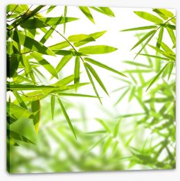Bamboo leaves Stretched Canvas 52060911