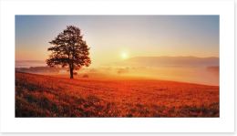 Lone tree in the sunrise meadow Art Print 52071979