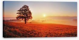 Lone tree in the sunrise meadow Stretched Canvas 52071979