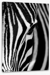 Zebra face Stretched Canvas 52139388