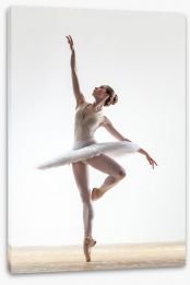 Pirouette Stretched Canvas 52262948