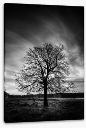 The leafless tree Stretched Canvas 52268147