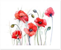 Delicate poppies Art Print 52270810