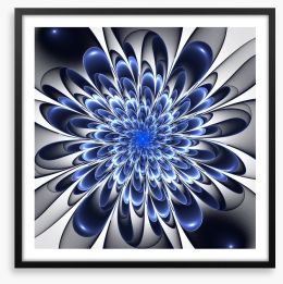 Starlight bloom Framed Art Print 52442293