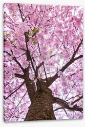 Blossoming Stretched Canvas 52920542