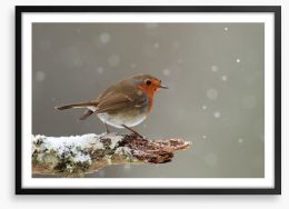 Little robin Framed Art Print 52926639