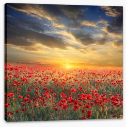 Remembrance Stretched Canvas 52953274