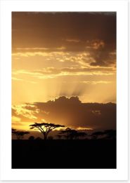 African sunset with Acacia Art Print 53050526