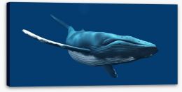 Blue whale swimming Stretched Canvas 53060845
