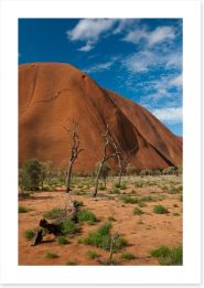Outback Art Print 53113815