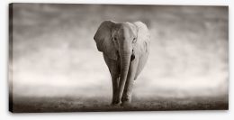 Mighty African elephant Stretched Canvas 53182375