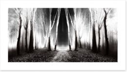 Forests Art Print 53207232