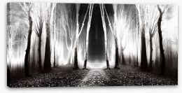 Forests Stretched Canvas 53207232