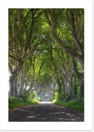 Magical wood tree tunnel Art Print 53315281